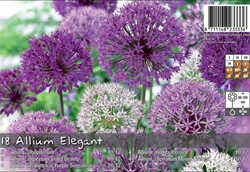 Allium Elegant Mix 18 løg